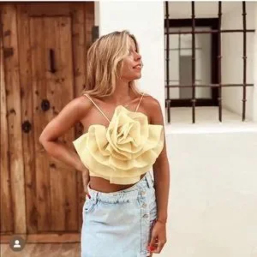 ZARA Floral Organza Top - Picture 3 of 15